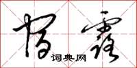 梁锦英宿露草书怎么写