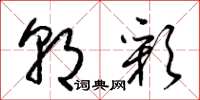 梁锦英朝彩草书怎么写