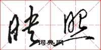 骆恒光映照草书怎么写