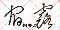 骆恒光宿露草书怎么写