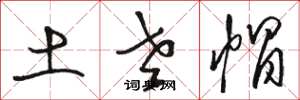 骆恒光土老帽草书怎么写