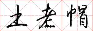 钱沛云土老帽行书怎么写