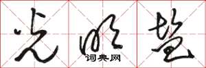 骆恒光光明盐草书怎么写