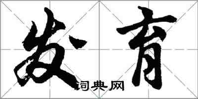 胡问遂发育行书怎么写