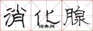 骆恒光消化腺隶书怎么写
