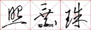 骆恒光照乘珠草书怎么写
