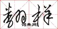 骆恒光翻样草书怎么写