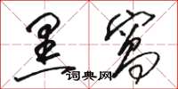 骆恒光黑窝草书怎么写