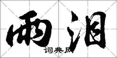 胡问遂雨泪行书怎么写