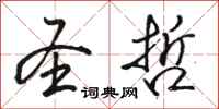骆恒光圣哲行书怎么写