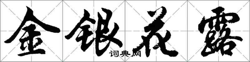 胡问遂金银花露行书怎么写