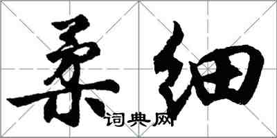 胡问遂柔细行书怎么写