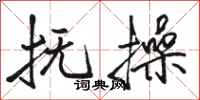 骆恒光抚操行书怎么写