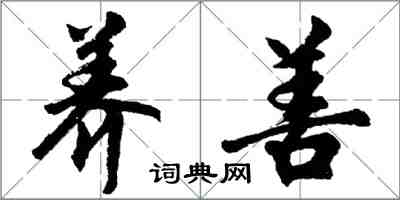 胡问遂养善行书怎么写