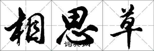 胡问遂相思草行书怎么写