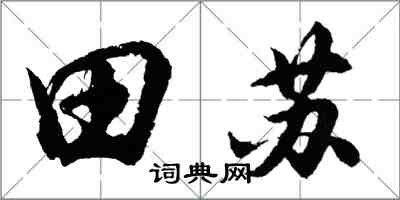 胡问遂田苏行书怎么写
