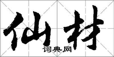 胡问遂仙材行书怎么写
