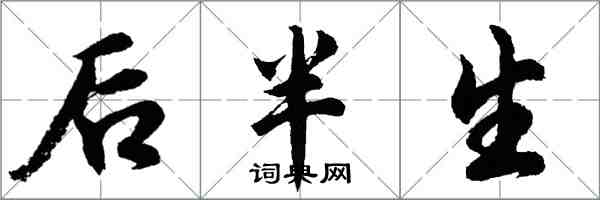 胡问遂后半生行书怎么写