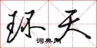 骆恒光环天行书怎么写
