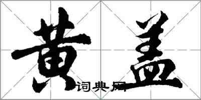 胡问遂黄盖行书怎么写