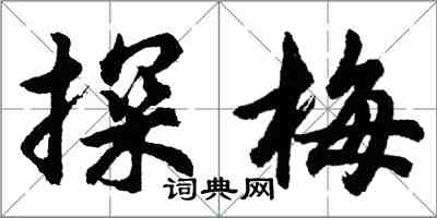 胡问遂探梅行书怎么写