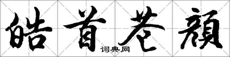 胡问遂皓首苍顔行书怎么写