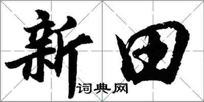 胡问遂新田行书怎么写