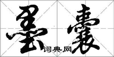 胡问遂墨囊行书怎么写