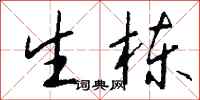钱沛云生栋行书怎么写