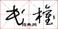 王冬龄民权草书怎么写