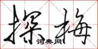 骆恒光探梅行书怎么写