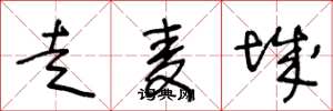 王冬龄走麦城草书怎么写