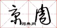 王冬龄京周草书怎么写
