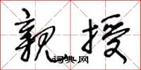王冬龄亲授草书怎么写