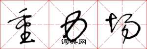 王冬龄重力场草书怎么写