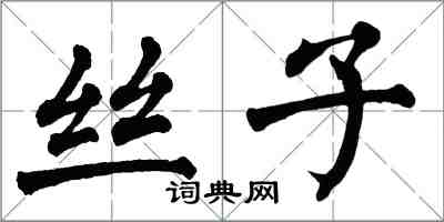 翁闿运丝子楷书怎么写