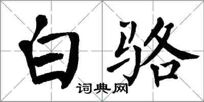 翁闿运白骆楷书怎么写