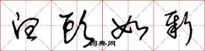 王冬龄白头如新草书怎么写