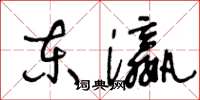 王冬龄东瀛草书怎么写