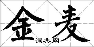 翁闿运金麦楷书怎么写