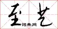 钱沛云至艺行书怎么写
