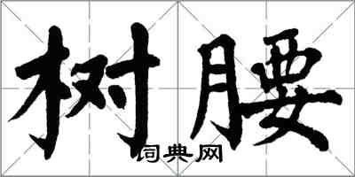 翁闿运树腰楷书怎么写