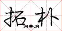 庞中华拓朴行书怎么写