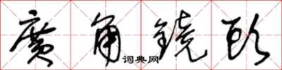 王冬龄广角镜头草书怎么写