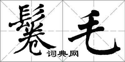 翁闿运鬈毛楷书怎么写