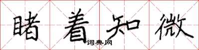 袁强睹着知微楷书怎么写
