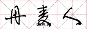 王冬龄丹麦人草书怎么写