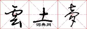 王冬龄云土梦草书怎么写