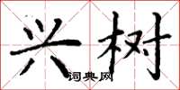 丁谦兴树楷书怎么写