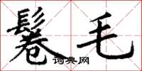 丁谦鬈毛楷书怎么写